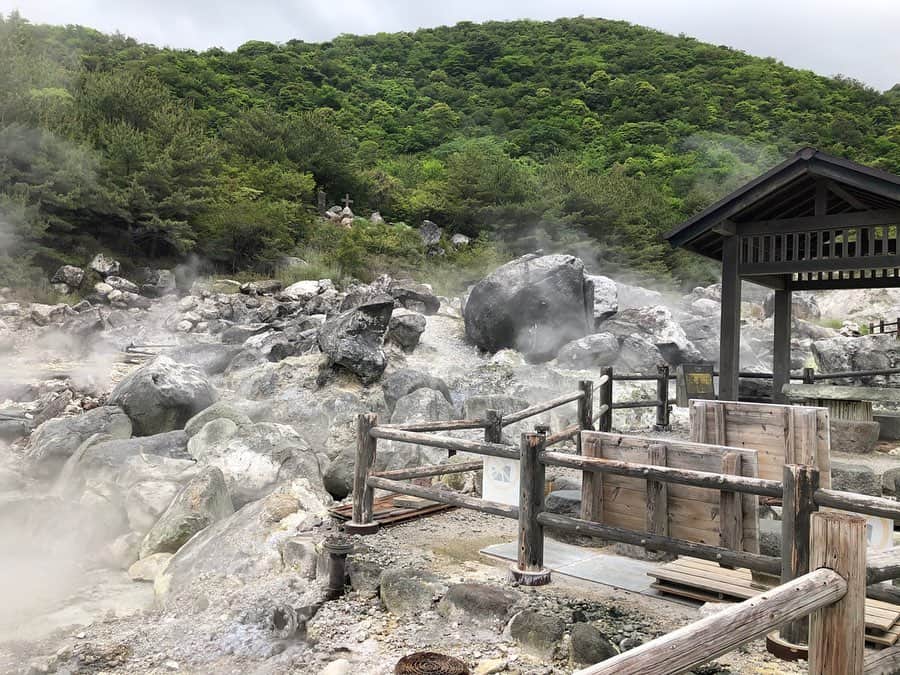 藤坂奈央さんのインスタグラム写真 - (藤坂奈央Instagram)「. 今日は朝早く出発し 雲仙・仁田峠のミヤマキリシマの取材へ✨ 今まさに見頃！ 一面美しく咲き誇る姿に癒されました☺️ 帰りは小浜ちゃんぽんを食べて 短い時間でしたが雲仙を満喫しましたよ〜🥢 . 雲仙市では現在 市民限定で 市内のホテルや旅館の宿泊費を 半額補助するキャンペーン中だそうです！ ああ、雲仙市民の方うらやましい…♨️ . #雲仙 #仁田峠 #ミヤマキリシマ #長崎 #nagasakigram #温泉 #小浜ちゃんぽん #取材ランチ #Jチャン長崎 #アナウンサー #藤坂奈央」5月20日 23時05分 - naofujisaka_