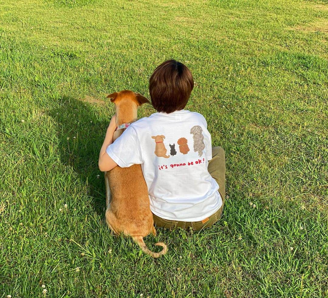 original brand 【ilu098】さんのインスタグラム写真 - (original brand 【ilu098】Instagram)「アイルふく こちらは来月のnew！ 人は言う。 雨が降らなければ、虹は出ない。 太陽は必ずまた昇る。 また平和な風が吹くその時に、 そして、更にその先の未来までも、 イッツガナビーオケィ！ きっと、なんくるないさ♫ ・It's gonna be ok！Tee ¥4,380- 先行ご予約:6月1日(月)19時~6月7日(日) 予定 ※詳しくはWebShopをご確認ください #ilu098 #Okinawalife #犬好き #itsgonnabeok #Tシャツ #沖縄」5月20日 23時21分 - ilu098