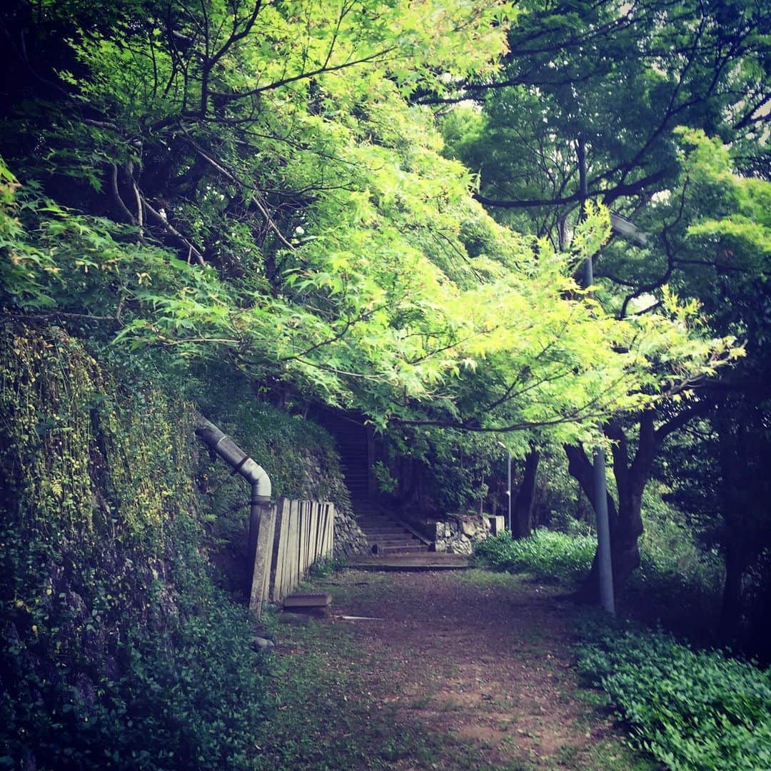 岸田繁さんのインスタグラム写真 - (岸田繁Instagram)「私はこの季節を中心に生きている」5月20日 23時26分 - kishidashigeru