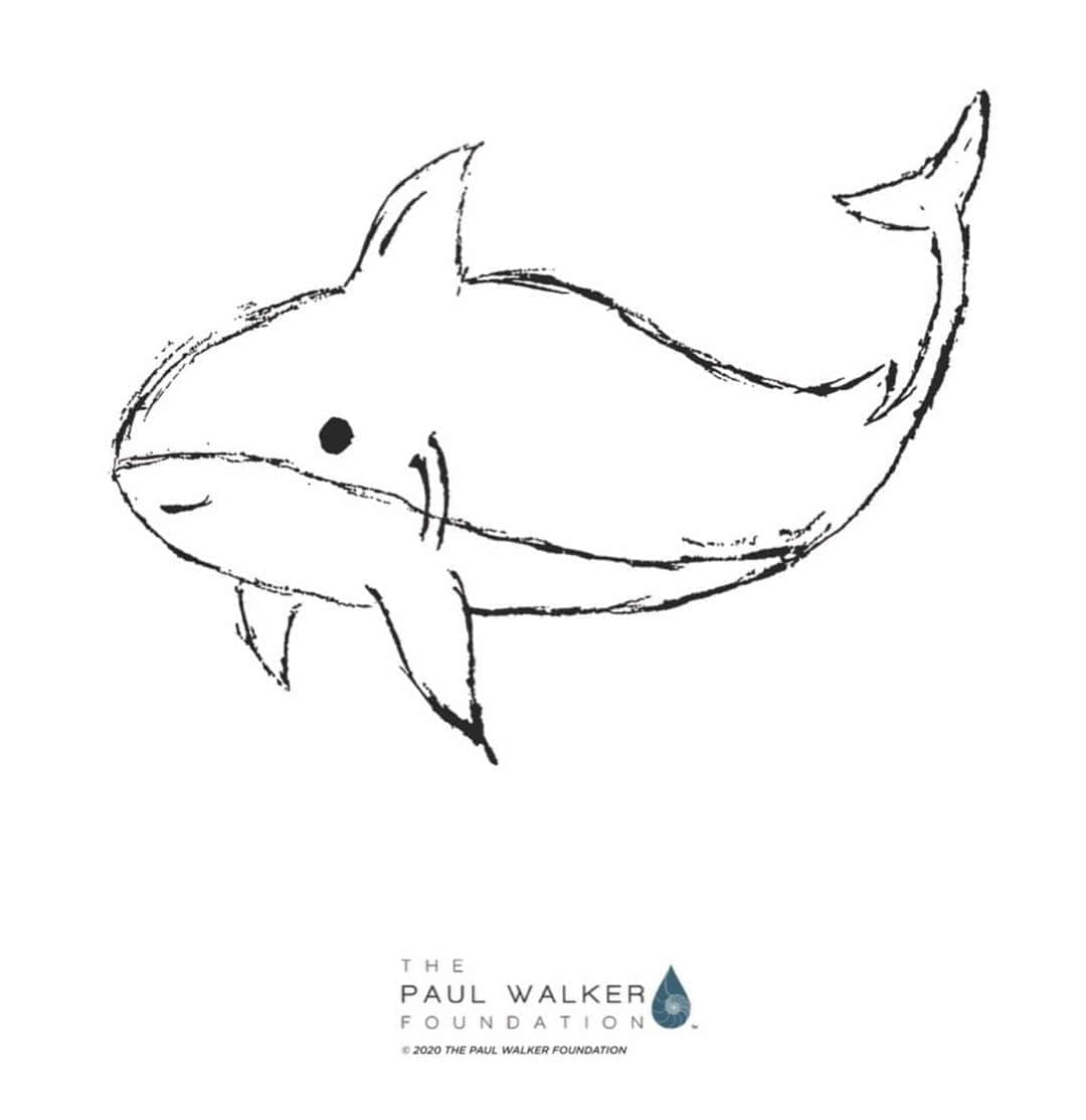 ポール・ウォーカーのインスタグラム：「Meet “Shadow The Shark” 🦈  another ocean friend in this series from @meadowwalker 🌊 FUN FACT: Did you know sharks do not have bones?  Download, print and color Shadow! Please feel free to rename Shadow, sign your name, share and tag us so we can show off your beautiful work.  Winners will receive Paul Walker Foundation merch👍 Connecting kids in the community with color. Do Good. Be Good. #DoGood 🐚」
