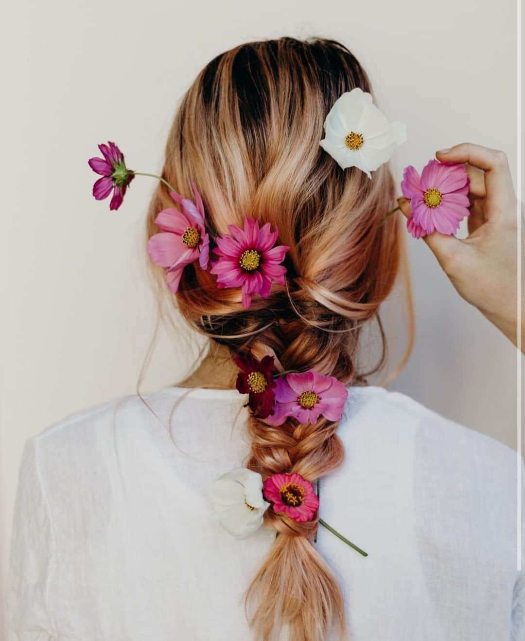 I N S T A B R A I Dのインスタグラム：「a pop of color for your feeds 🌸」