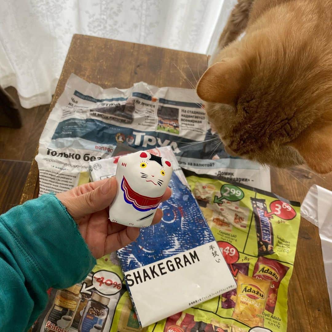 金巻ともこさんのインスタグラム写真 - (金巻ともこInstagram)「はちみせから手拭いと張り子猫届いたー！　まずロシア語新聞紙の梱包がかわいい……。なにもかもかわいい。すでに我が家に住んでいる招き猫の隣にいることになりました。 #はちみせ #猫 #招き猫 #hakuchai #cat #茶トラ #猫多頭飼い #tabby #orangetabby #catstagram」5月21日 0時33分 - tomotomoco