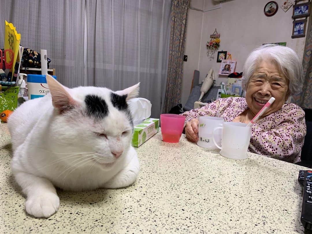 Kachimo Yoshimatsuさんのインスタグラム写真 - (Kachimo YoshimatsuInstagram)「バーバとナナクロ。 バーバ、楽しそうだ。 #うちの猫ら #nanakuro #バーバ #バーバと猫 #猫 #ねこ #cat #ネコ #catstagram #ネコ部 http://kachimo.exblog.jp」5月21日 0時45分 - kachimo