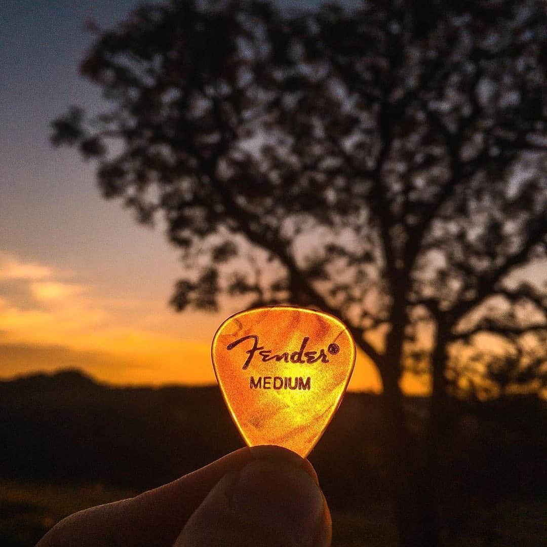Fender Guitarさんのインスタグラム写真 - (Fender GuitarInstagram)「What kind of pick do you like to play with?  Repost: @canallimatheus」5月21日 1時01分 - fender