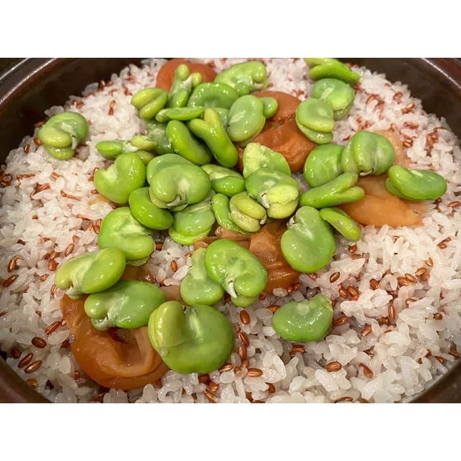 中田奈沙さんのインスタグラム写真 - (中田奈沙Instagram)「#stayhome Fava beans and pickled plums rice🍚 空豆と梅干しの炊き込みご飯🤤 @kaorioka0705 さんが作っているのを見て、美味しそうで真似っこさせていただきました💓 空豆ももうすぐ終わっちゃうかなぁ。  #奈沙ごはん #おうち時間  #やっぱり米が好き #noricenolife  #foodie #foodstagram #foodporn #instafood #foodgasm #foodpic #rice #favabeans #pickledplum #japanesefood #washoku #cooking #sizzle #炊き込みご飯 #梅干し #空豆 #土鍋ごはん #春 #旬 #料理 #手料理 #おいしい #和食 #日本食 #おうちごはん」5月21日 1時01分 - nasa_nakada