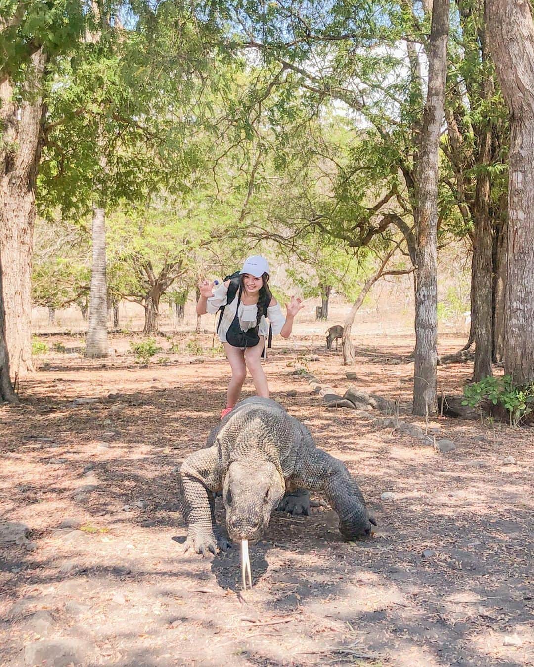 ももせゆきさんのインスタグラム写真 - (ももせゆきInstagram)「✩ ✩  旅欲がぁぁ🇮🇩 最恐大型肉食動物コモドドラゴンに会いに行った思い出の1人旅♡ 楽しそうだけど猛獣ドラゴンちゃん🐉・ ・ ・ 🇮🇩 #komododragon  #ももゆの1人旅 #bali #ポートレート  #indonesia #retrip_global #instagram#IGersJP#earthpix #女子旅 #カメラ女子 #カメラ好きな人と繋がりたい #海外旅行#ファインダー越しの私の世界 #写真好きな人と繋がりたい #tokyocameraclub #ビジョビ  #タビジョ#canon_photos #igworldclub #instatrip #whim_member #awesome_earthpix #fantastic_earth #travellingthroughtheworld #jtbで旅したい #click_vision #写真撮ってる人と繋がりたい#wonderful_places #genic_mag」5月21日 12時48分 - momoyu1125