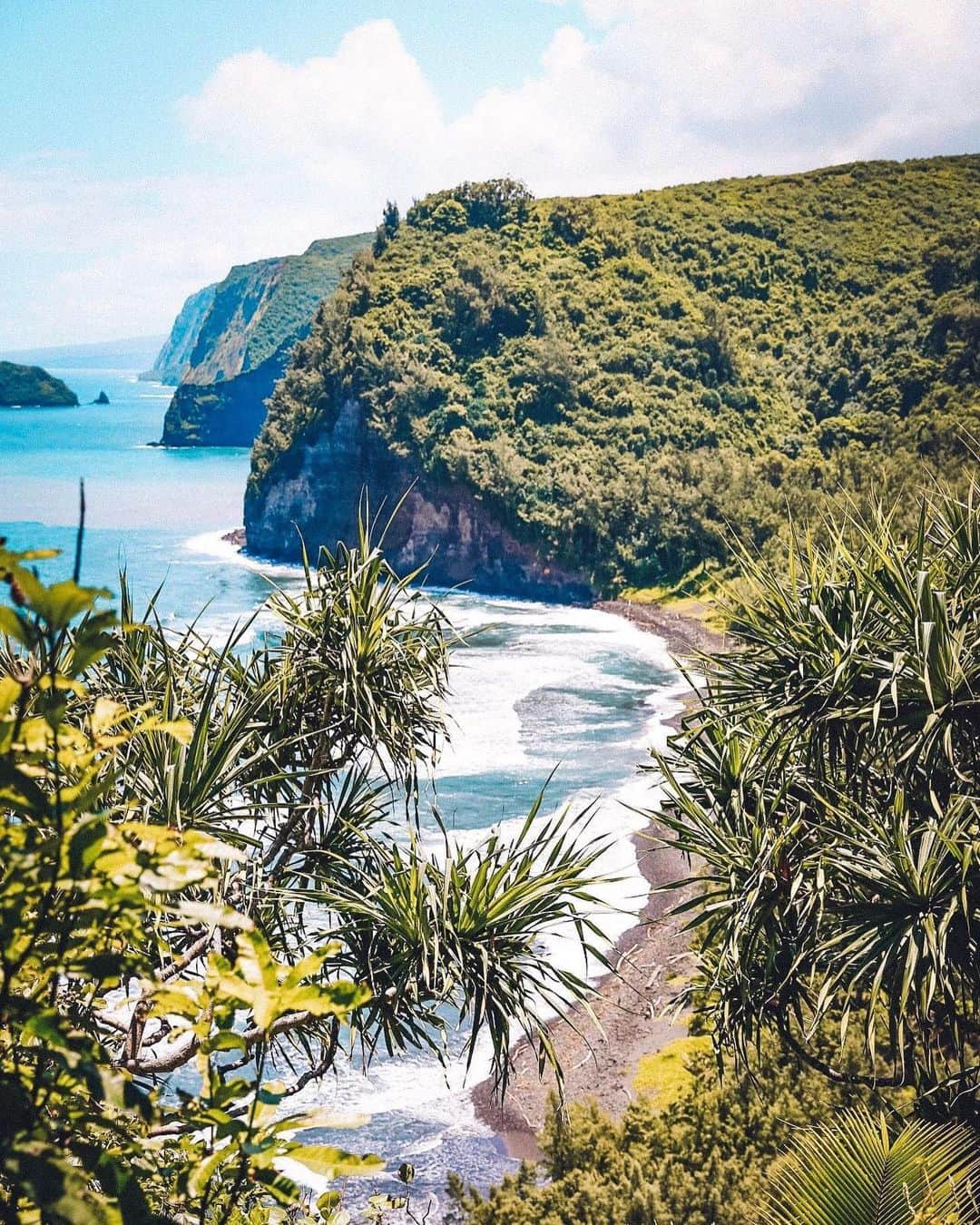 ハワイアン航空さんのインスタグラム写真 - (ハワイアン航空Instagram)「Our favorite hikes are the ones where your breath is taken away at both the start and the finish of the hike. 💜 #AHuiHou • Until We Meet Again ⠀ 📍 Pololū Valley, Hawai‘i Island」5月21日 6時51分 - hawaiianairlines