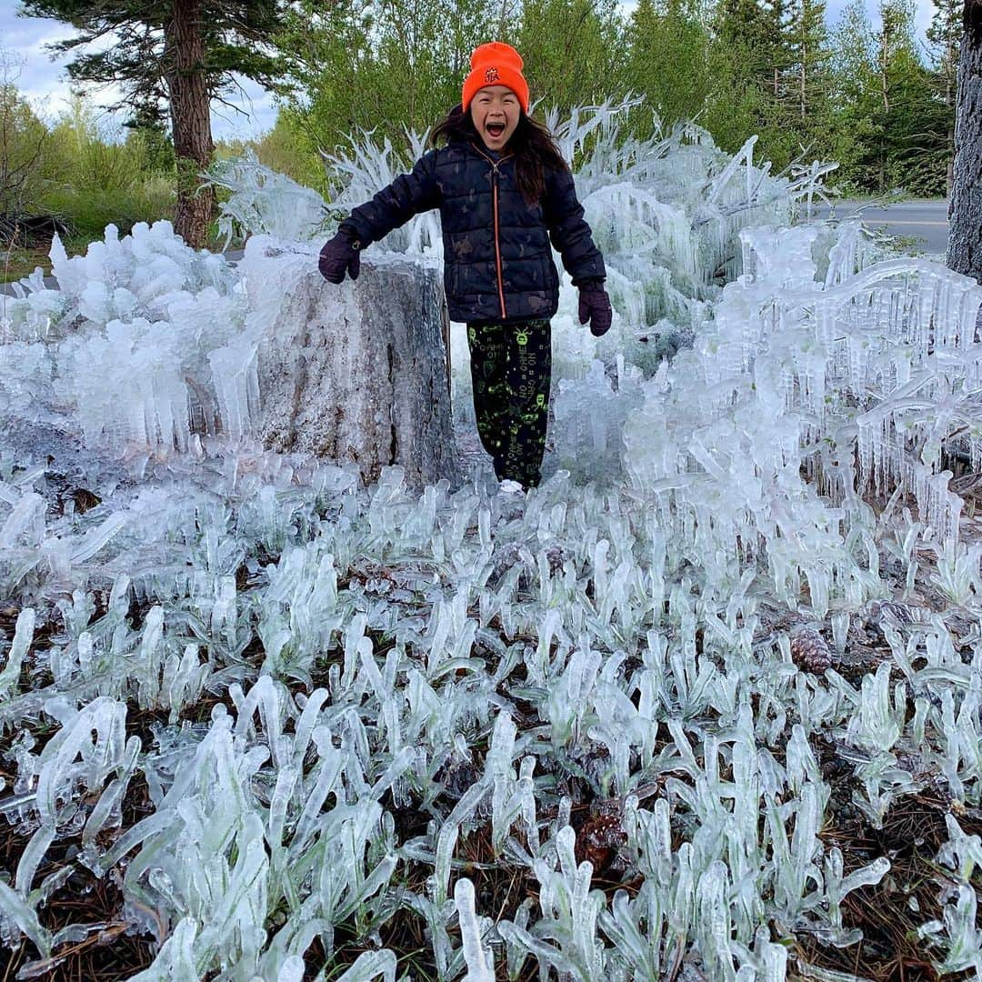 上田ユキエさんのインスタグラム写真 - (上田ユキエInstagram)「Amazing ❄️✨ #nature #mountainlife #アメリカ生活#山生活#自然現象」5月21日 7時30分 - yukie_ueda