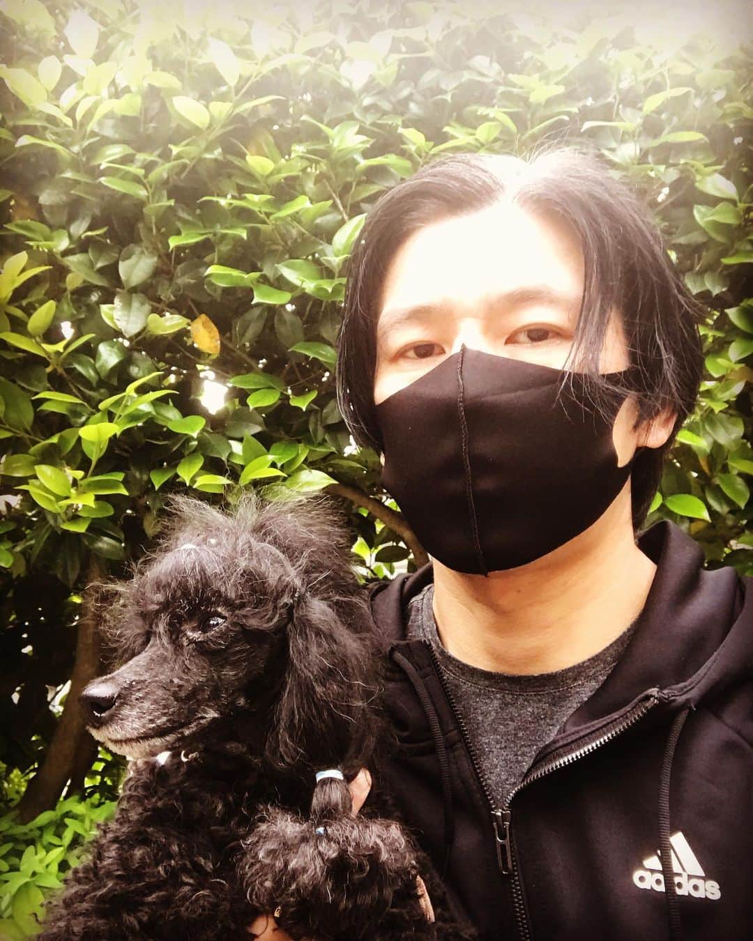 宮上元克のインスタグラム：「今日は散歩に行けてご満悦な模様」