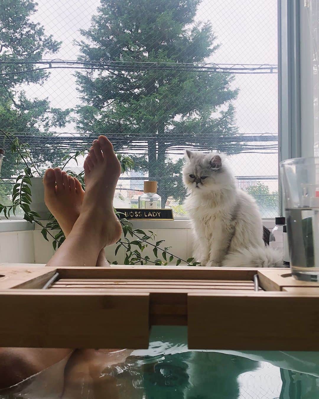 齊藤澪菜のインスタグラム