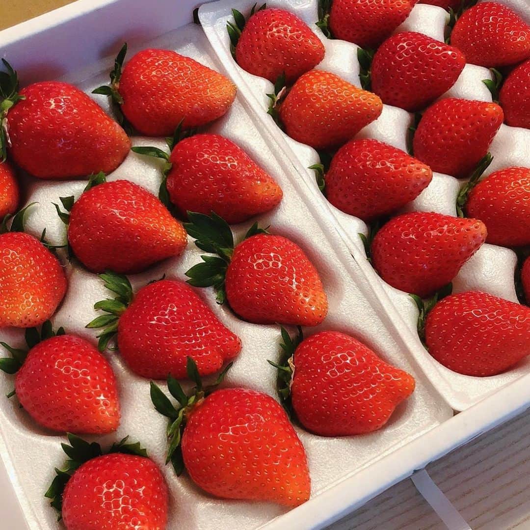 稲垣芽生のインスタグラム：「😆 おはようございます！  今週は、とっても寒いですね。  大きな苺🍓を頂いたので ずっと憧れだったフルーツサンドにして いただきました🥰  苺が甘くて生クリームもふわふわで とっても美味しかったです。  生クリームにゼラチンを入れました。 なるほどです。  ごちそうさまでした！ . . . おうちで育てている苺も 食べ頃になりました。  #フルーツサンド #しろいちご  #エンジェルエイト  #女峰」