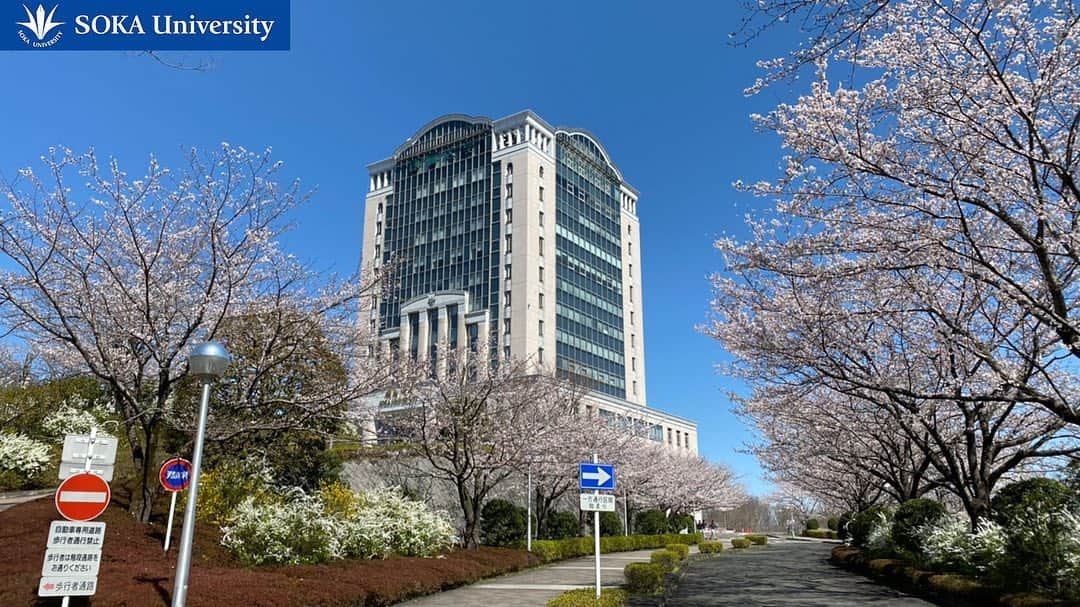 Soka Universityさんのインスタグラム写真 - (Soka UniversityInstagram)「Background wallpapers available for use during your online classes on zoom ❶ オンライン授業や会議で使用できる「創大バーチャル背景画像 Vol.1」❶ https://www.soka.ac.jp/_tag/2020/05/4810/ #discoversoka #sodaigram #sokauniversity #hachioji #campuslife #universitystudent #zoommeeting #zoomclasses #studentsuccess #spring2020 #photosoftheday #創価大学 #八王子 #キャンパス #キャンパスライフ #大学 #ズーム #授業 #5月」5月21日 9時53分 - sokauniversity