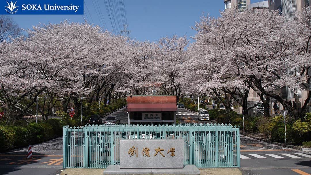 Soka Universityさんのインスタグラム写真 - (Soka UniversityInstagram)「Background wallpapers available for use during your online classes on zoom ❶ オンライン授業や会議で使用できる「創大バーチャル背景画像 Vol.1」❶ https://www.soka.ac.jp/_tag/2020/05/4810/ #discoversoka #sodaigram #sokauniversity #hachioji #campuslife #universitystudent #zoommeeting #zoomclasses #studentsuccess #spring2020 #photosoftheday #創価大学 #八王子 #キャンパス #キャンパスライフ #大学 #ズーム #授業 #5月」5月21日 9時53分 - sokauniversity