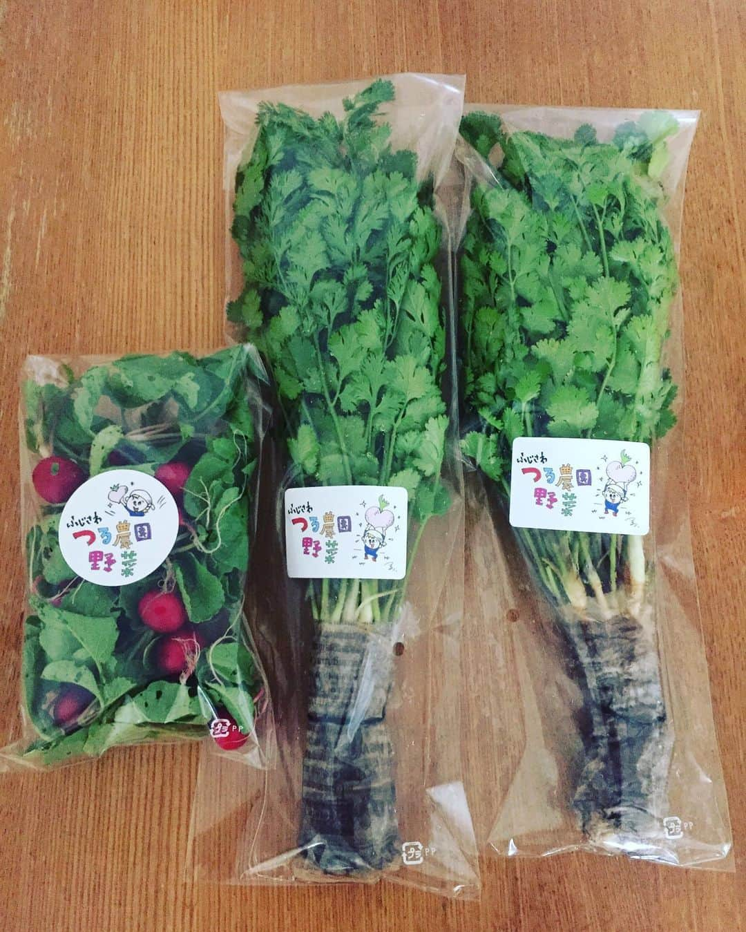 つるの剛士さんのインスタグラム写真 - (つるの剛士Instagram)「こんななかでも野菜はしっかり育ってくれてます🥕  #つる農園  #藤沢北部  #ふじさわつる農園野菜  #つるぶ藤沢」5月21日 11時43分 - takeshi__tsuruno