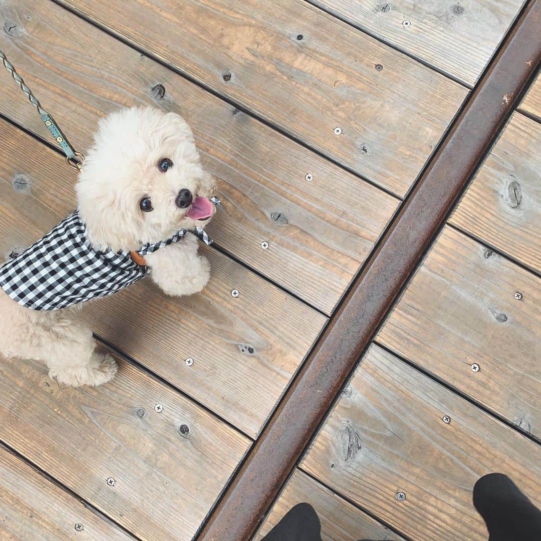 mizuのインスタグラム：「見上げてくれるのきゅんきゅんする♡」