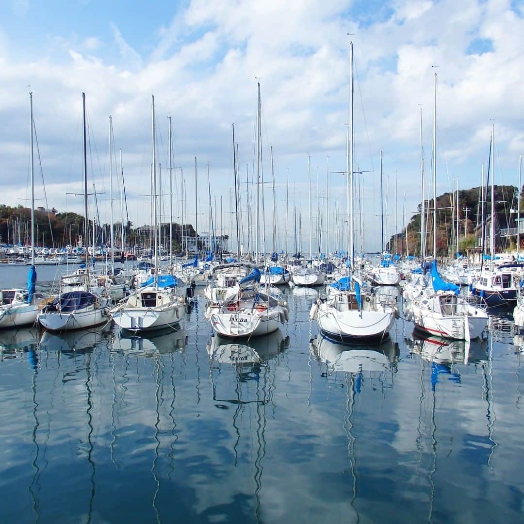 【公式】オーシャンリゾートホテル マホロバ・マインズ三浦のグルメインスタ