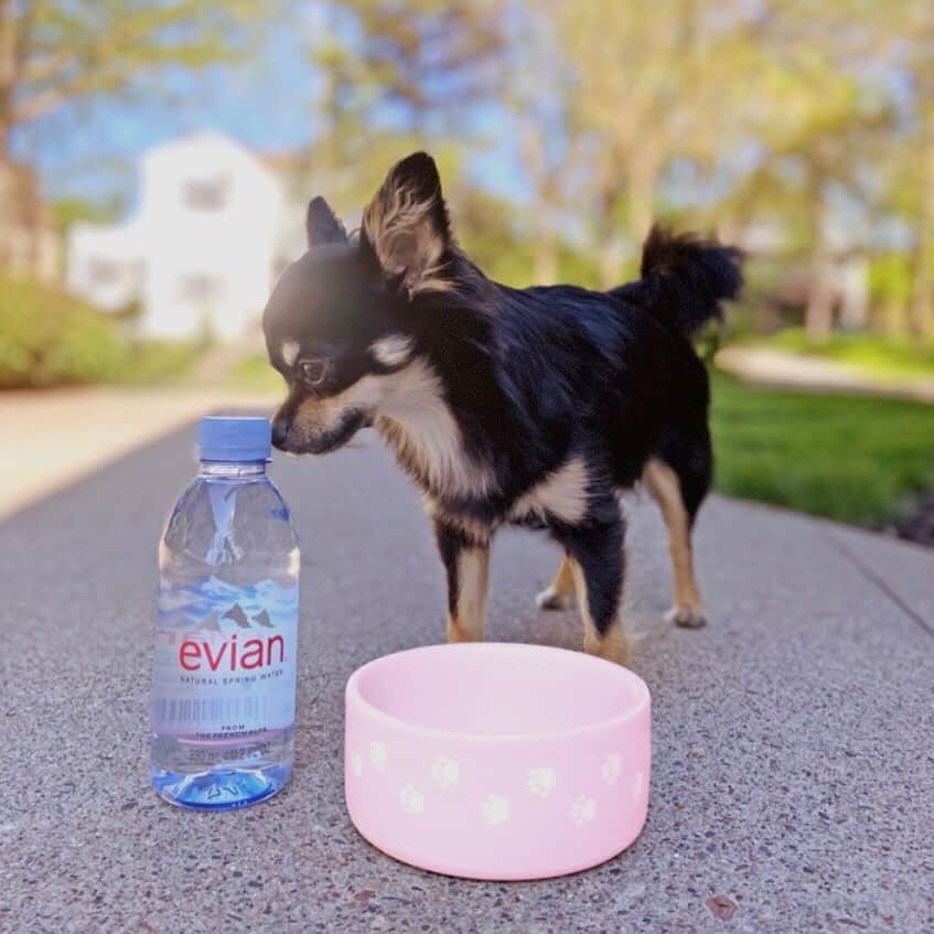 evianのインスタグラム