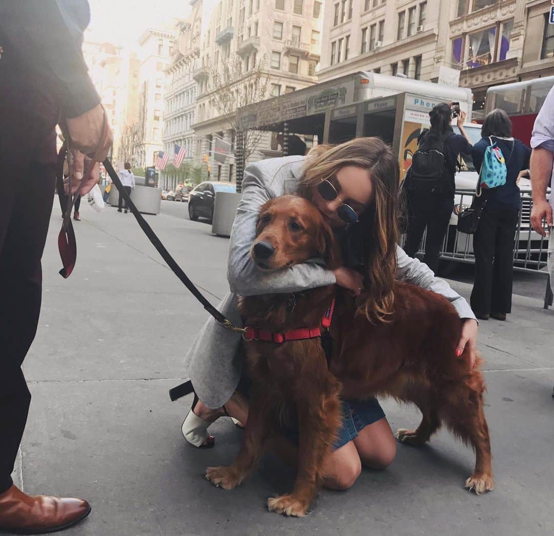 エリザベス・ギリースさんのインスタグラム写真 - (エリザベス・ギリースInstagram)「Gone are the days of petting random dogs on the streets of NYC. At least I have the memories...」5月21日 22時52分 - lizgillz