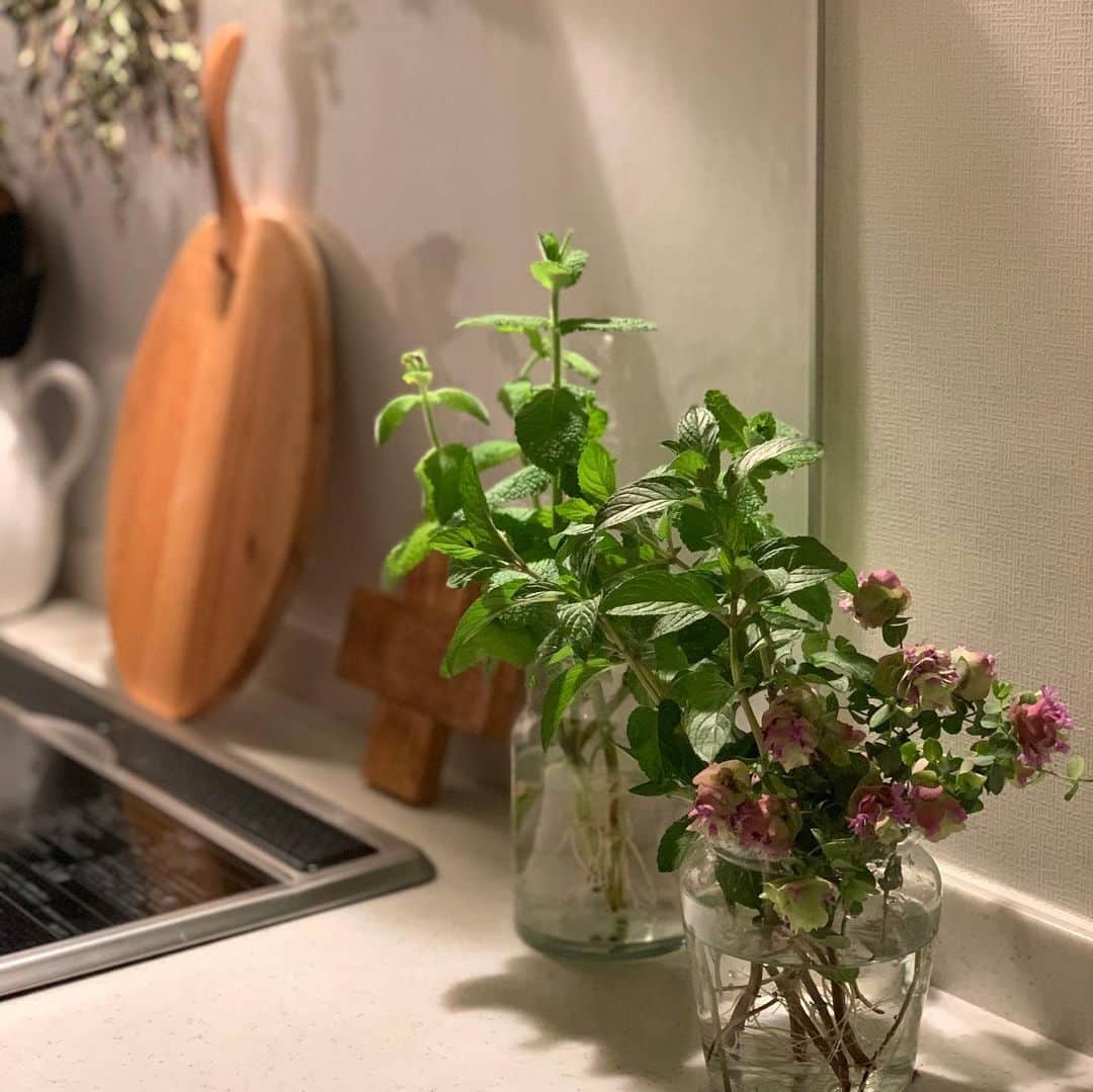 佐藤友子さんのインスタグラム写真 - (佐藤友子Instagram)「深夜のキッチン。ひとまず道具を片付けて掃除シートでカウンターやIHヒーターを拭いて、皿を洗って１日をリセット。  ベランダで育てているミントやオレガノ。ずいぶん前に摘んできてキッチンに活けたのだけれど、まだまだ元気。キャンディーミント、アップルミントは根も出てきた。  キッチンにフレッシュなものがあると、なぜだか元気が出るな😌」5月21日 23時05分 - tomokosato_hokuohkurashi