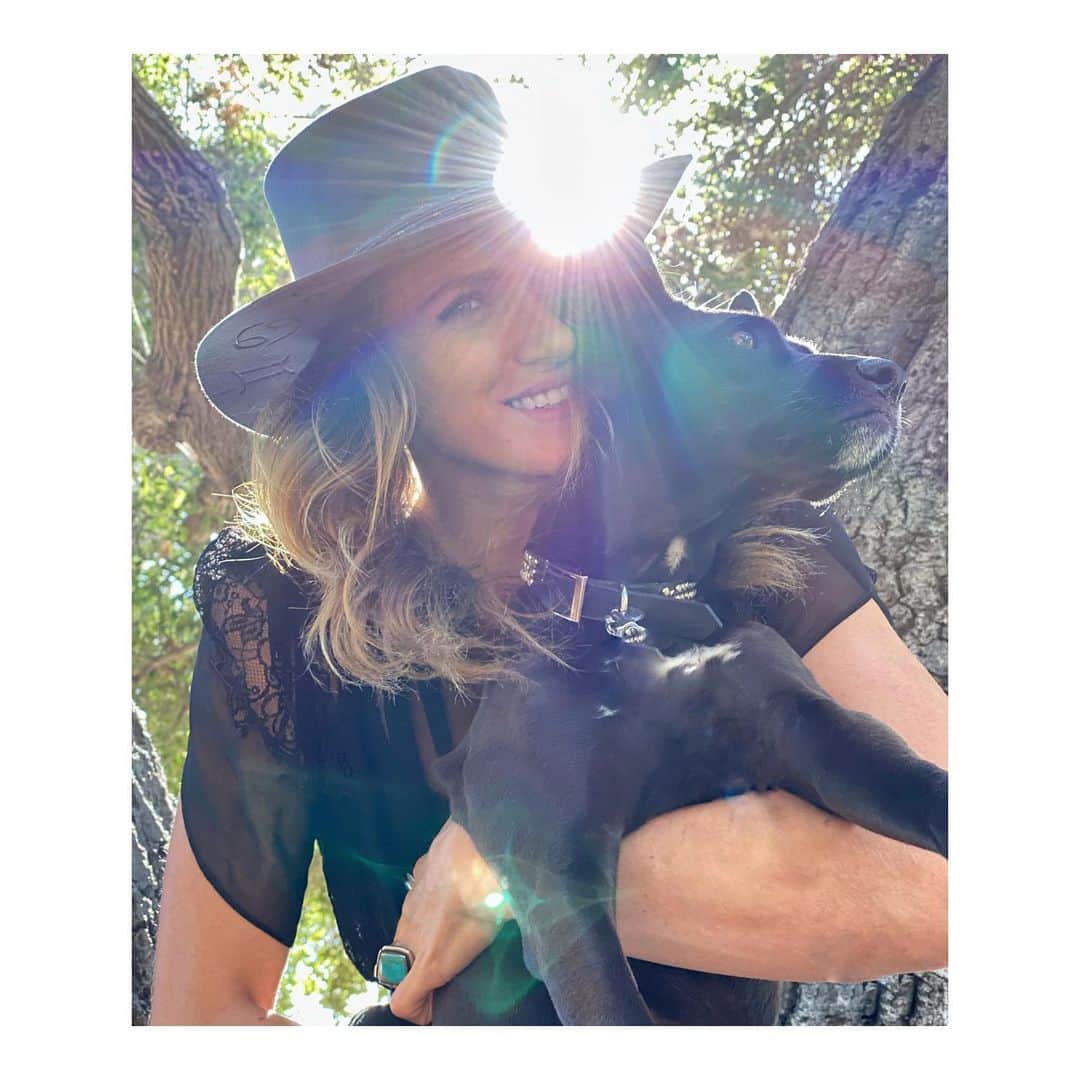 シャンテル・ヴァンサンテンのインスタグラム：「#InternationalDogRescueDay shout out to @acredogs who found our mama Nova living in a sewer pipe with her babies and barely surviving. They took them all in, brought them to health and found her babies homes... then we got the BEST DOG EVER! She is perfect and brings more love to our lives. I didn’t know I could love anything THIS MUCH. Her old wise soul, curious spirit, frisbee playing, trick displaying, and need to cuddle are just what my heart needed! If you want amazing dogs from a wonderful organization check them out! #SheRescuedME 🐾 #RescueDogDay」