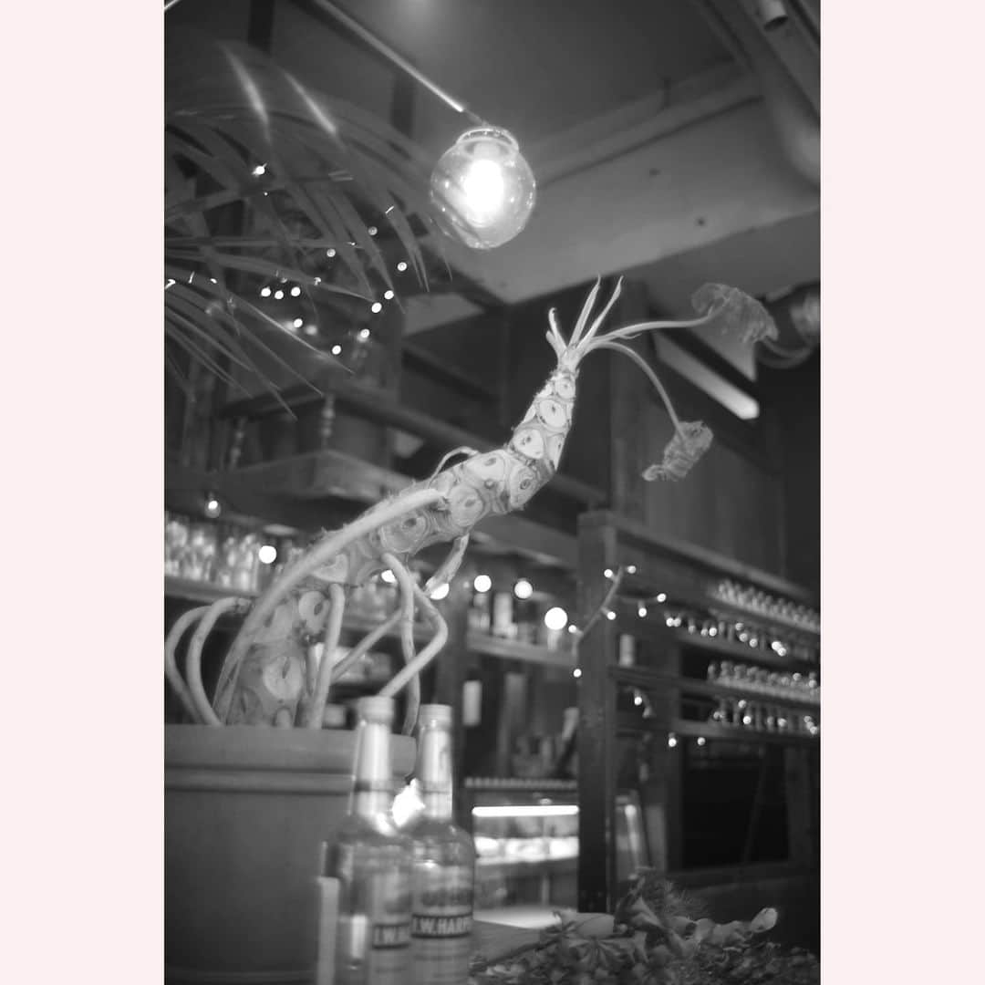 花澄のグルメインスタ