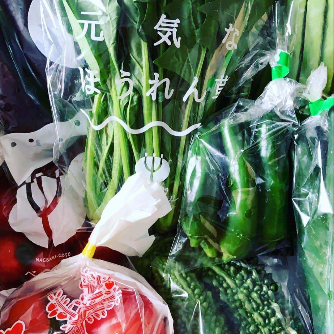志摩有子さんのインスタグラム写真 - (志摩有子Instagram)「五島はトマトだけじゃなくて、他の野菜も美味しいと聞いてさっそく。生のままシャキシャキ甘いピーマン、ピー太郎って、なんで可愛いんだ。ゴーヤもインゲンも胡瓜も自由に育ったのに美しい。まさにヘルシー美人な野菜たち。力強い野菜って初めてかも。  #五島列島 #福江島 #ベジテール」5月21日 16時21分 - ariko418