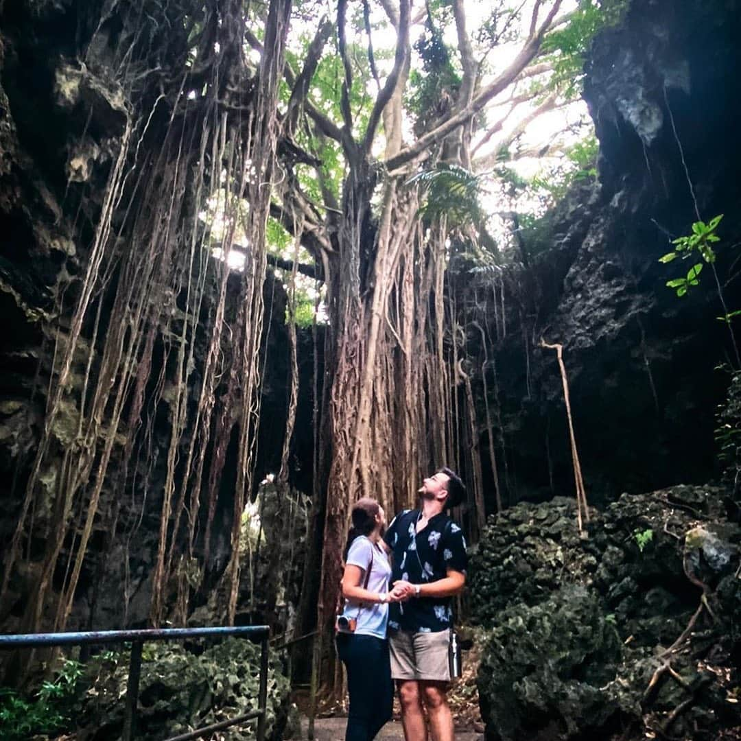 Be.okinawaさんのインスタグラム写真 - (Be.okinawaInstagram)「The gigantic trees make me feel so small... . 📷:@littlesherpatravels 📍:Valley of Gangala  These banyan trees are called Gajumaru, notable for their aerial root that grows from both the trunk and the branch. Some of these trees live for more than 800 years!  We keep posting photos, hoping that those would remind you of Okinawa and cheers you up. We look forward to welcoming you back to Okinawa in the near future! #okinawaathome  #valleyofgangala #nanjo #洞穴咖啡 #南城市 #간가라계곡 #난조시 #ガンガラーの谷 #banyan #wondersofnature #beokinawa #visitokinawa」5月21日 16時29分 - visitokinawajapan