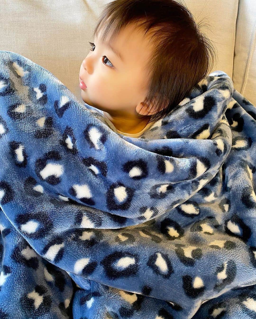 Momoeのインスタグラム：「クセ強めな毛布🐆💙 最近のみよのブームはキウイ🥝 キウイのCM流れると 何をしてても必ずテレビ観る（笑） みんなんちもそうかな？😂 キウイキウイキウイを食べよう〜🎶 . .  #happy #家事 #育児 #family #家族 #boy #smile #男の子 #息子 #code #love #lucky #kids #子供 #thankyou #宝物 #ベビー #fashion #follow #boy #パパ #ママ #家族写真 #男の子ママ #赤ちゃん写真 #photo #子育て #1歳 #flower」