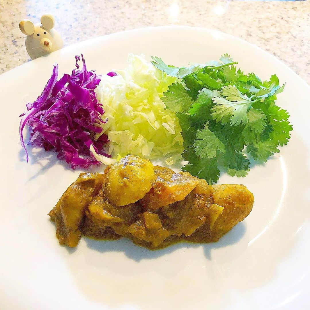 榊山敬代のインスタグラム：「🌿🍛🥄✨… ・ 先週からマイブームは カレーランチ再来の巻  きょうはパクチーが お買い得でしたので  パクチーぱくぱく とても相性よくて くせになりそう也  二杯目は白米と共に少しだけ食べて 二度楽しむのがマイブームな食べ方  最近のカレーランチは  おそらく週３・４回 食べてるペースかな  コロナさんから突然 アタマを使うこの頃  アタマがよくなりたいので ナマステパワーのチカラを  積極的にチャージして はたして効果があるか おたのしみな未来の時 ・ ・ 🍛🧠💫 ・ ・ ところで昨日では 新たなメンバーで  zoom会議の巻  参加人数があいまいでしたが 参加してビックリでしたのは  12人くらいいらっしゃったでしょうか 未来に向けてアタマ使うタイムでした ・ ・ 💻👤👤👤👤👤👤👤👤👤👤👤👤💬… ・ ・ さてとりあえず今週中に アイデアをまとめるべく 二、三件の資料制作週間 ・ ・ 📑💦… ・ ・ #おうち時間 たのしもう週間 #おうち大好き #stayhome ・ ・ #おうちランチ #パクチー #phakchi #food #vegetable #cabbage #carrot #potato #キャベツ #タマネギ #onion #じゃがいも #ランチ #lunch #indianfood #india #spice #curry #カレーランチ #野菜カレー #🍛 #ナマステ  #artist #cooking  #日本画家 の#お料理こんなもん  #コロナウイルスが早く終息しますよう」