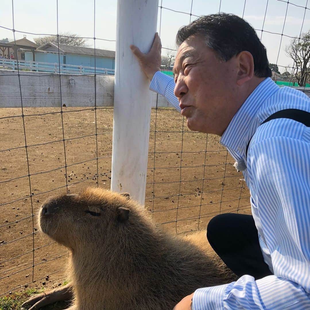 田中律子さんのインスタグラム写真 - (田中律子Instagram)「番組再放送のお知らせ📺  5/22 23:00〜、5/23 26:00〜 Jテレ「ふかわりょうのフニオチナイト」  5/24 13:55〜16:25  2時間スペシャル🚌🚌🚌 テレビ朝日 『路線バスで寄り道の旅🚌』 (2018/4/22横須賀春SP編)  東京の徳さんと、沖縄の律子邸をリモートで繋いで収録しましたー💻懐かしのバス旅🚌日曜日ゆっくりまったりご覧下さいませ💛  #路線バスで寄り道の旅  #フニオチナイト  #再放送になります #リモート収録  #毎週徳さんと #パソコンごし #早く会いたいな  #あと少し  #がんばらないと」5月21日 17時22分 - ri2kotanaka