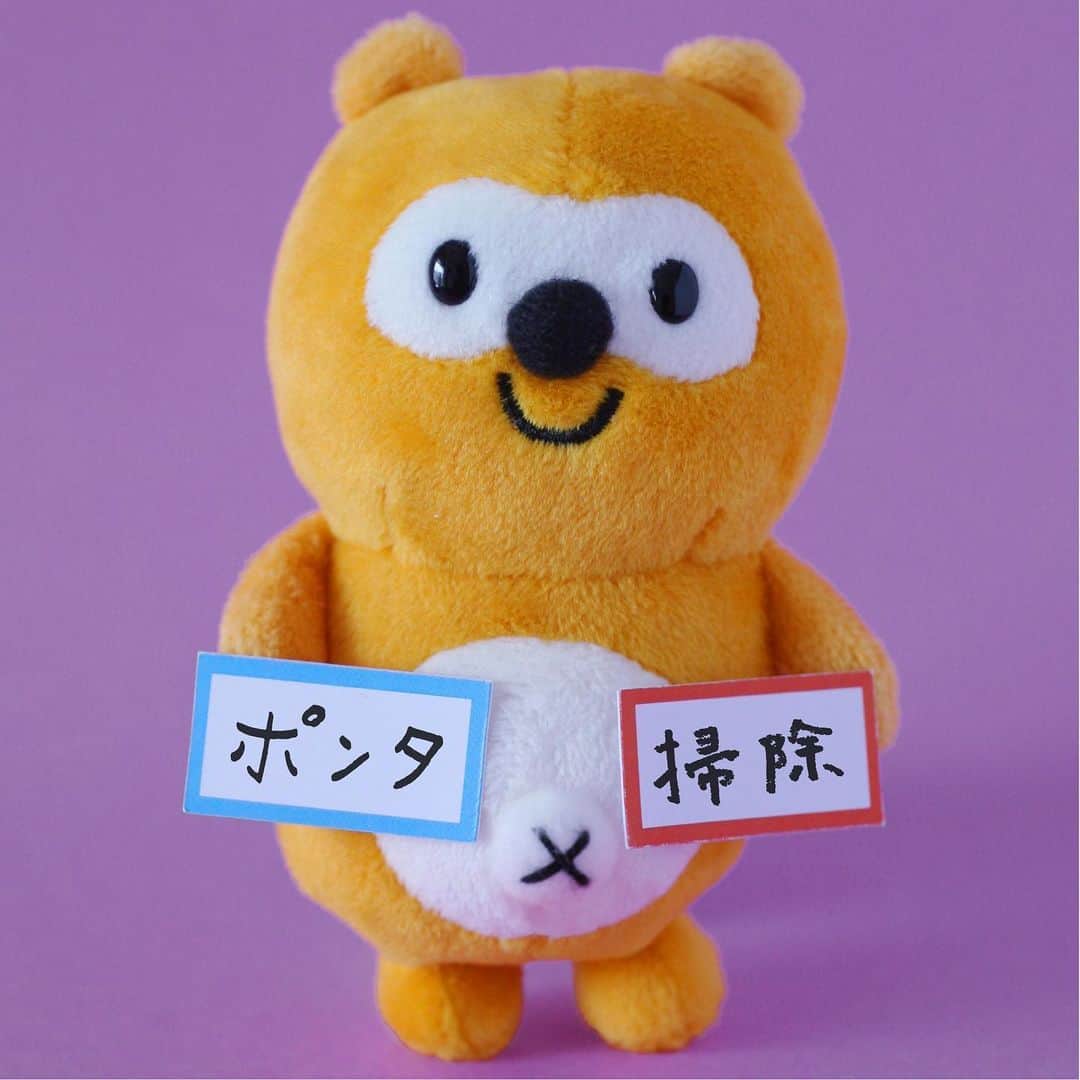 ポンタのインスタグラム：「. #へそ算 . 部屋を掃除していたらアルバムを発見したよ！ こんな頃もあったんだなぁ・・😌🌟 . . . #ponta #ポンタ #へそ算 #掃除あるある #アルバム #思い出 #ちいさいころの思い出 #お掃除 #かわいい #ぬい撮り部 #ぬい撮り #ぬいどり #ぬいすたぐらむ #ポンスタグラム #撮りポン」