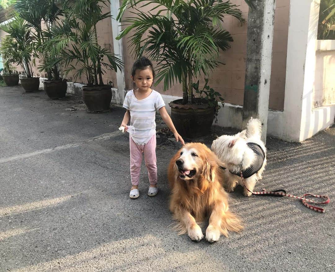 Hoykong&Plamuekのインスタグラム：「With my lovely friend ❤️」