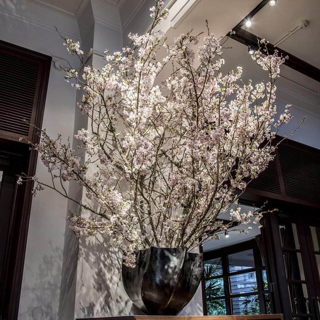 FORTUNE GARDEN KYOTOのグルメインスタ