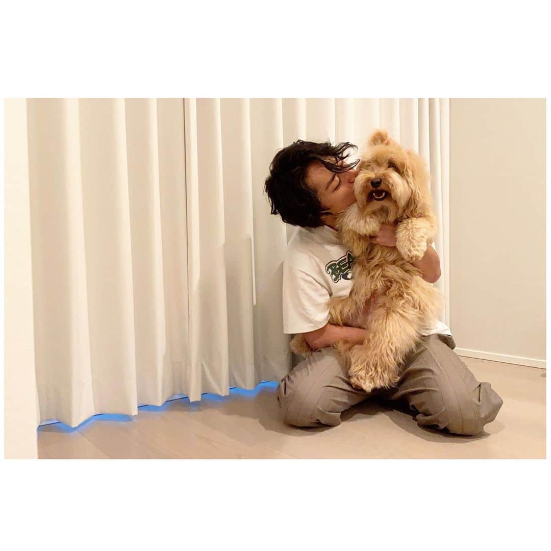 白濱亜嵐さんのインスタグラム写真 - (白濱亜嵐Instagram)「Baby Rex🐶🦖 #ひとつになろうYou_I」5月21日 18時16分 - alan_shirahama_official