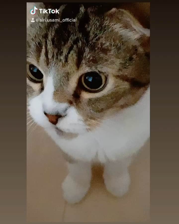 宇佐美あいりのインスタグラム