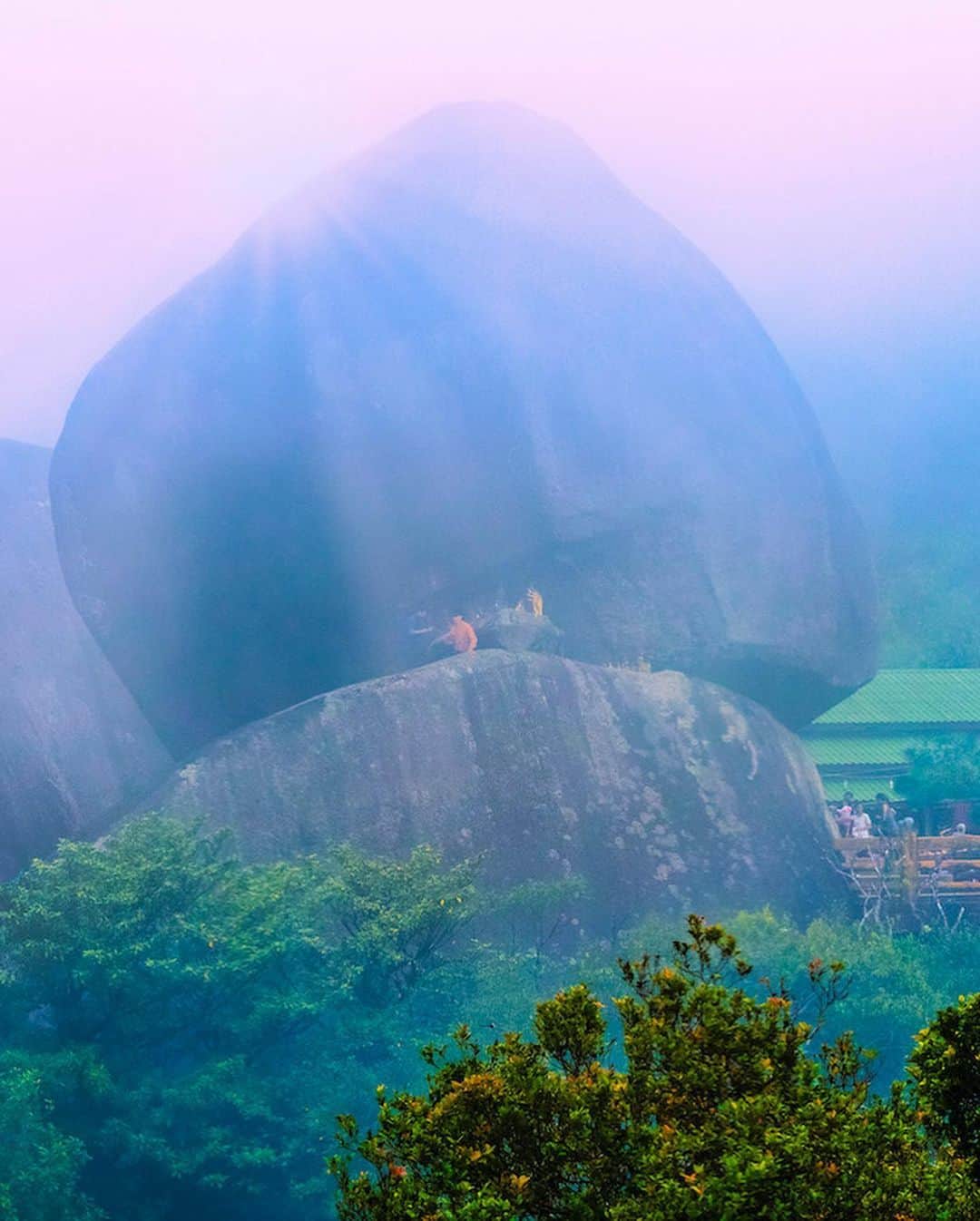タイ国政府観光庁さんのインスタグラム写真 - (タイ国政府観光庁Instagram)「・﻿ ／﻿ 🇹🇭タイの秘境を巡る旅へ✈️﻿ まだ知られていないタイはここ❗﻿ ＼﻿ ﻿ 毎週木曜日は、まだまだ日本では知られていないタイの秘境スポットをご紹介🤫✨﻿ ﻿ 今回は、チャンタブリーにある「カオキッチャクート国立公園」へ🏃💨﻿ ﻿ こちらは、1月末〜3月末頃の約2か月間しか入山することができない信仰の山⛰️﻿ 山開きの期間には、山頂にある巨大な仏足石を参拝するため多くの旅行者や仏教徒が訪れます🙏✨﻿ ﻿ ここを訪れれば天国の扉に近付くことができると言われています😌﻿ ひんやりした空気と朝霞も魅力です🌤﻿ ﻿ #タイ  #チャンタブリー #秘境 #カオキッチャクート国立公園 #仏足石 #カオキッチャクート国立公園  #国立公園  #絶景 #トレッキング #山登り #山  #ローカル体験 #こんなタイ知らなかった #もっと知りタイ #タイを知りつくす #タイ旅行  #旅好きな人と繋がりたい #旅行好きな人と繋がりたい #海外旅行  #thailand #chanthaburi #KhaoKhitchakutNationalPark #amazingthailand #thailandtravel #thailandtrip #thai #thaistagram #lovethailand #thailandhiddengems #hiddengems」5月21日 18時40分 - amazingthailandjp