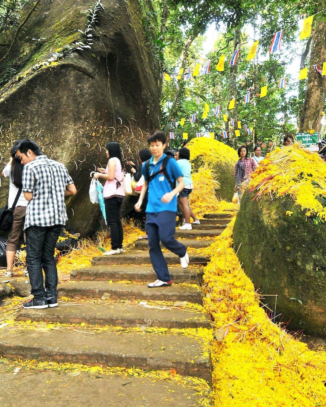 タイ国政府観光庁さんのインスタグラム写真 - (タイ国政府観光庁Instagram)「・﻿ ／﻿ 🇹🇭タイの秘境を巡る旅へ✈️﻿ まだ知られていないタイはここ❗﻿ ＼﻿ ﻿ 毎週木曜日は、まだまだ日本では知られていないタイの秘境スポットをご紹介🤫✨﻿ ﻿ 今回は、チャンタブリーにある「カオキッチャクート国立公園」へ🏃💨﻿ ﻿ こちらは、1月末〜3月末頃の約2か月間しか入山することができない信仰の山⛰️﻿ 山開きの期間には、山頂にある巨大な仏足石を参拝するため多くの旅行者や仏教徒が訪れます🙏✨﻿ ﻿ ここを訪れれば天国の扉に近付くことができると言われています😌﻿ ひんやりした空気と朝霞も魅力です🌤﻿ ﻿ #タイ  #チャンタブリー #秘境 #カオキッチャクート国立公園 #仏足石 #カオキッチャクート国立公園  #国立公園  #絶景 #トレッキング #山登り #山  #ローカル体験 #こんなタイ知らなかった #もっと知りタイ #タイを知りつくす #タイ旅行  #旅好きな人と繋がりたい #旅行好きな人と繋がりたい #海外旅行  #thailand #chanthaburi #KhaoKhitchakutNationalPark #amazingthailand #thailandtravel #thailandtrip #thai #thaistagram #lovethailand #thailandhiddengems #hiddengems」5月21日 18時40分 - amazingthailandjp