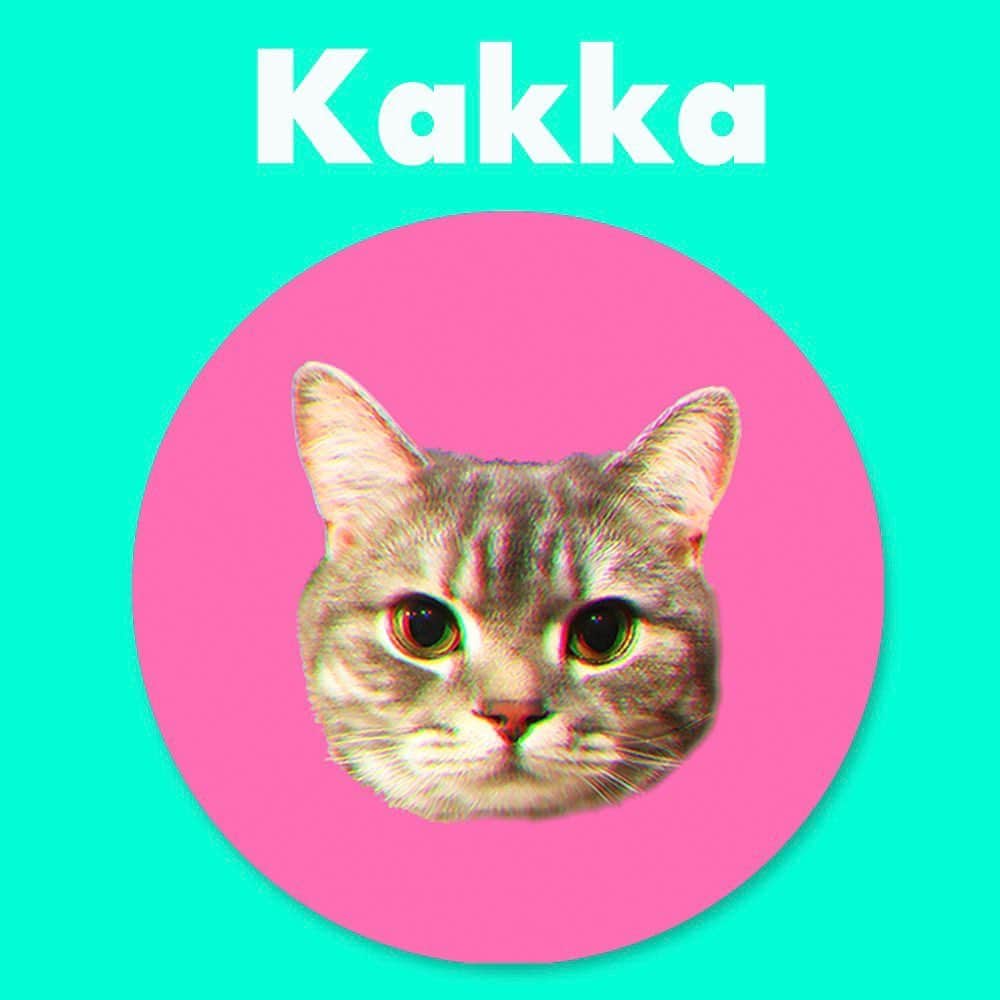 DJ Komoriさんのインスタグラム写真 - (DJ KomoriInstagram)「KAKKA フェイスフィルターが到着！﻿ 以前から少し告知してましたが、ようやくみんなに使ってもらえます🐈➰﻿ ﻿ 使い方は、DJ KOMORIインスグラのプロフィールから ☻マークの所を開いて、右下のボタンで画像を保存するとストーリーで使えるようになっています✨🥰﻿ ﻿ みんなで閣下になろう😽😽😽﻿ ﻿ #フェイスフィルター #djkomori #kakka #閣下の日常 #facefilter  #catstagram #catsofinstagram」5月21日 18時53分 - djkomori