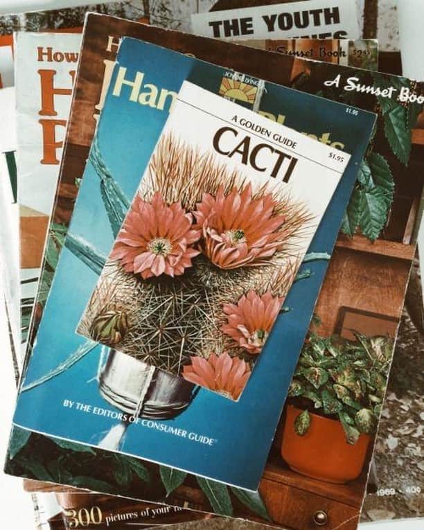 オーレリービダマンのインスタグラム：「Escape with books 📚  Phot: Cacti Cover  #inspiration」