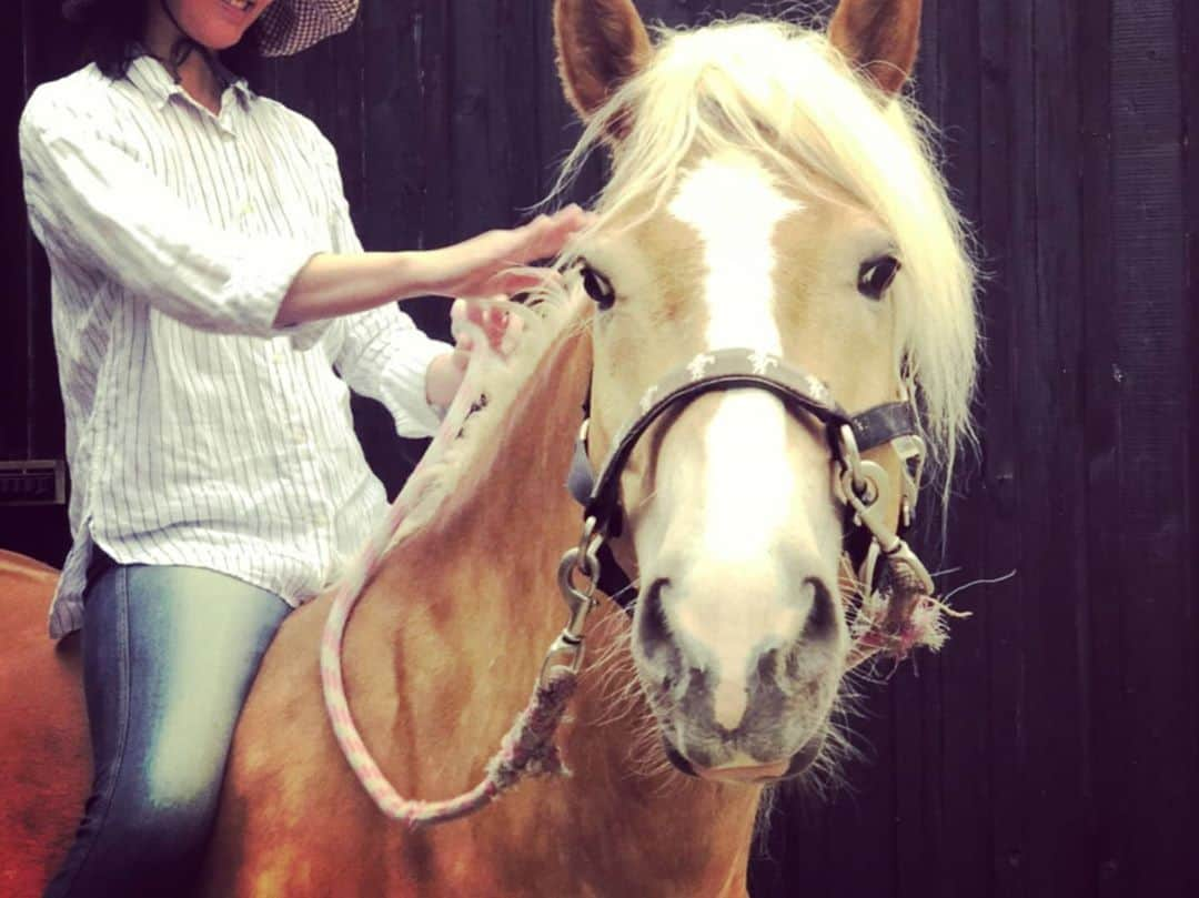 佐藤藍子さんのインスタグラム写真 - (佐藤藍子Instagram)「皆様、おこんばんみーです🍀  そして、いつもありがとうございます✨  Thank you everyone for everything😌  暑いなぁと思っていたら、とても寒い、、、 １日単位で乱高下する、この天気 地球が何かを言いたいのかなぁ、、 でも、この季節は、鳥ｻﾝ達が美しい歌声を聞かせてくれたり 草花ｻﾝ達が見事に咲き誇っています🌹  今年はワンサカと、咲いています✨  息子ぽっきゅん🐴とパシャり📸 (裸馬に、ラフな格好、ノンヘルメットは、自己責任の元でしています)  よく、似たような写真を掲載していますが、よーく見ると、馬の表情の変化が見えるので載せています😌 瞳を大きく開いたり、耳が色んな方向に向いていたり、口元(唇)の形だったり  こちらの意思も感じ取ってくれるし 逆に伝えて来てもくれます  1000%応えられるつもりで、ママ、頑張ってます😆  #ハフリンガー#ドレッサージュハフリンガー#ポニー#ドレッサージュポニー #馬#馬と花#dressagehaflinger #haflinger #pony #dressagepony #horse #aikosato #佐藤藍子」5月21日 19時13分 - sato_aiko_official