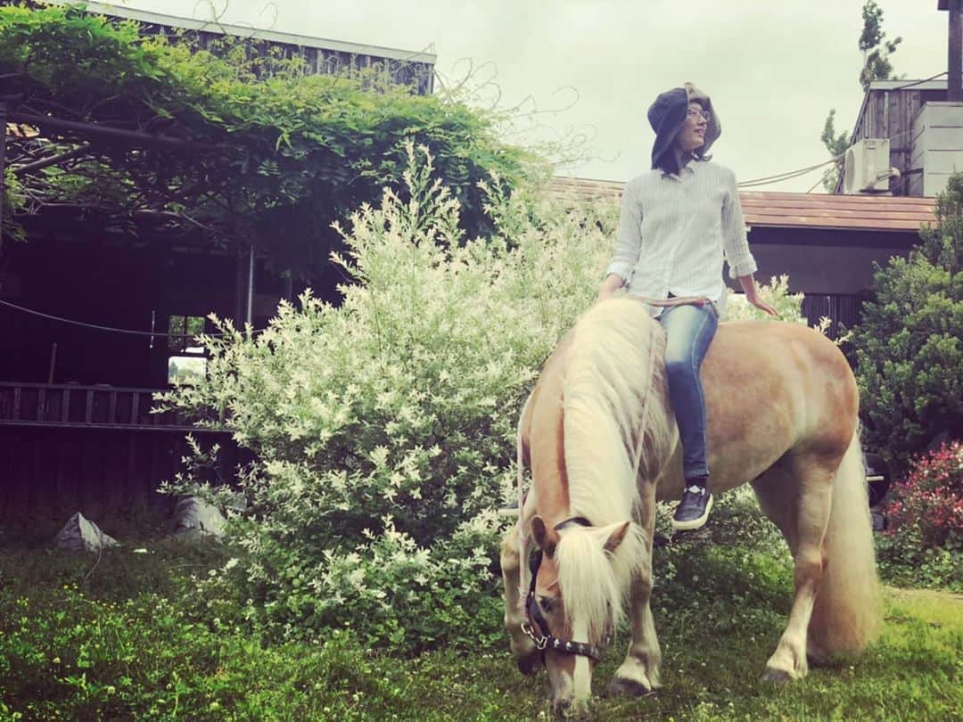 佐藤藍子のインスタグラム：「皆様、おこんばんみーです🍀  そして、いつもありがとうございます✨  Thank you everyone for everything😌  暑いなぁと思っていたら、とても寒い、、、 １日単位で乱高下する、この天気 地球が何かを言いたいのかなぁ、、 でも、この季節は、鳥ｻﾝ達が美しい歌声を聞かせてくれたり 草花ｻﾝ達が見事に咲き誇っています🌹  今年はワンサカと、咲いています✨  息子ぽっきゅん🐴とパシャり📸 (裸馬に、ラフな格好、ノンヘルメットは、自己責任の元でしています)  よく、似たような写真を掲載していますが、よーく見ると、馬の表情の変化が見えるので載せています😌 瞳を大きく開いたり、耳が色んな方向に向いていたり、口元(唇)の形だったり  こちらの意思も感じ取ってくれるし 逆に伝えて来てもくれます  1000%応えられるつもりで、ママ、頑張ってます😆  #ハフリンガー#ドレッサージュハフリンガー#ポニー#ドレッサージュポニー #馬#馬と花#dressagehaflinger #haflinger #pony #dressagepony #horse #aikosato #佐藤藍子」