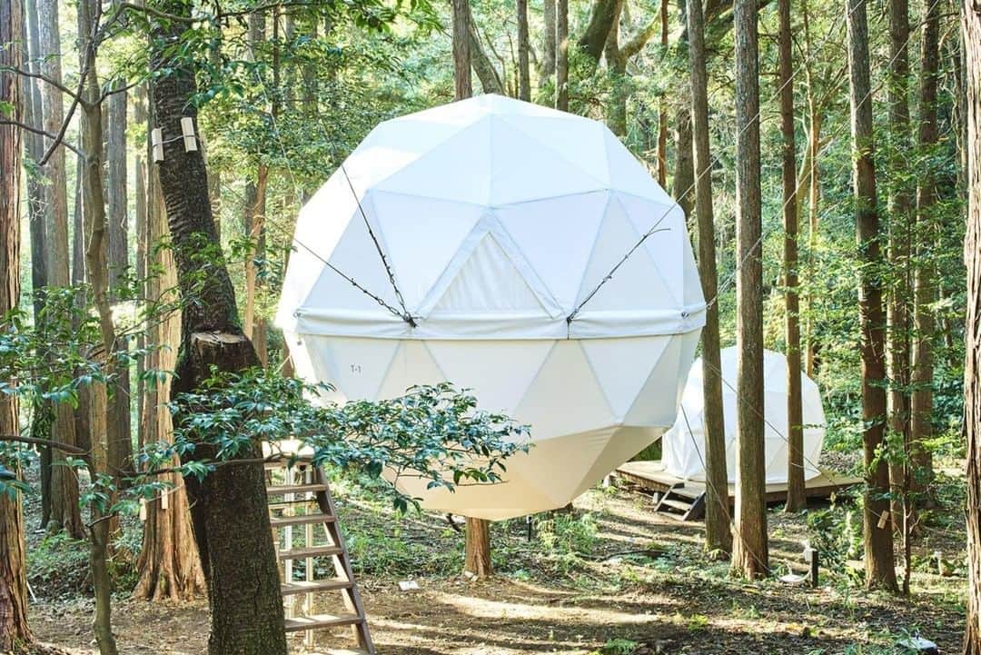Relux | リラックスさんのインスタグラム写真 - (Relux | リラックスInstagram)「【林間学校、覚えていますか】 . 📍泊まれる公園 INN THE PARK / 静岡県  ここは泊まれる公園。まったく新しい"お泊まり"を楽しみませんか？  広大な自然空間を自由に使うことができる贅沢さ。 森にひっそりと浮かぶ「球体テント」や、ゆったりとした時間が過ごせるカフェなど、自然を身近に感じながら日常とは違った時間をお過ごしいただけます。  大人も子供も一緒になって楽しめる、そして自然に癒されるときを心ゆくまでご堪能ください。 . @inn_the_park . #泊まれる公園INNTHEPARK #静岡県 #nnthepark #泊まれる公園 #静岡旅行 #少年自然の家 #静岡観光 #グランピング #沼津 #おうち時間 #おうちで旅行気分  #国内旅行 #週末旅 #週末旅行 #大人の休日 #記念日旅行 #誕生日旅行 #温泉旅行 #旅館 #温泉旅館 #ホテル #ラグジュアリーホテル #リゾート #リゾートホテル #旅スタグラム #旅行好きな人と繋がりたい #unknownjapan #japantravelphoto」5月21日 19時30分 - relux_jp