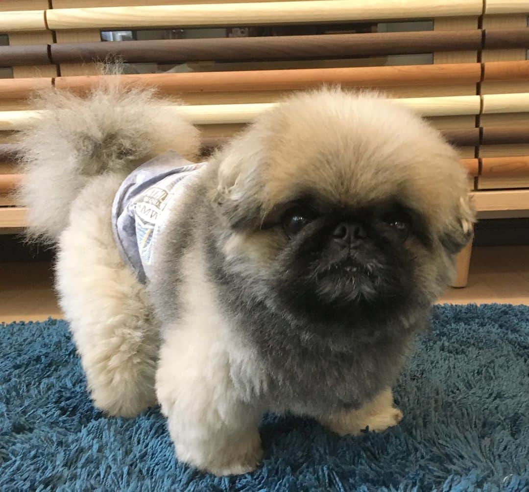 いぶそらのインスタグラム