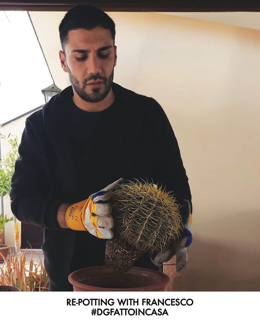 のインスタグラム：「⁣#DGFattoInCasa: Re-potting with Francesco.⠀ Today you can learn the secrets and steps you need to re-pot a succulent.⠀ ⠀ Dolce&Gabbana unveils the new #DGFattoInCasa - “Made at Home” - to explore the shared experience of lockdown that has united us all. In a time when our values have slowed, shifted and deepened #DGFattoInCasa reveals the power of craft and creativity to articulate love, closeness and care - all rooted in the homemade artisan DNA of Made in Italy.⠀ ⠀ As well as sharing the connecting force of handmade craft in the Italian tradition, #DGFattoInCasa fund raising project supports @fondazionehumanitasricerca and it’s an extension of Dolce&Gabbana’s ongoing Amore For Scientific Research project with @humanitas.university.⠀ ⠀ #DGFattoInCasa is presented in partnership with For Funding by @intesasanpaolo Bank. ⠀ ⠀ Take part and support the fund raising at link in bio.⠀ ⠀ #DolceGabbana」