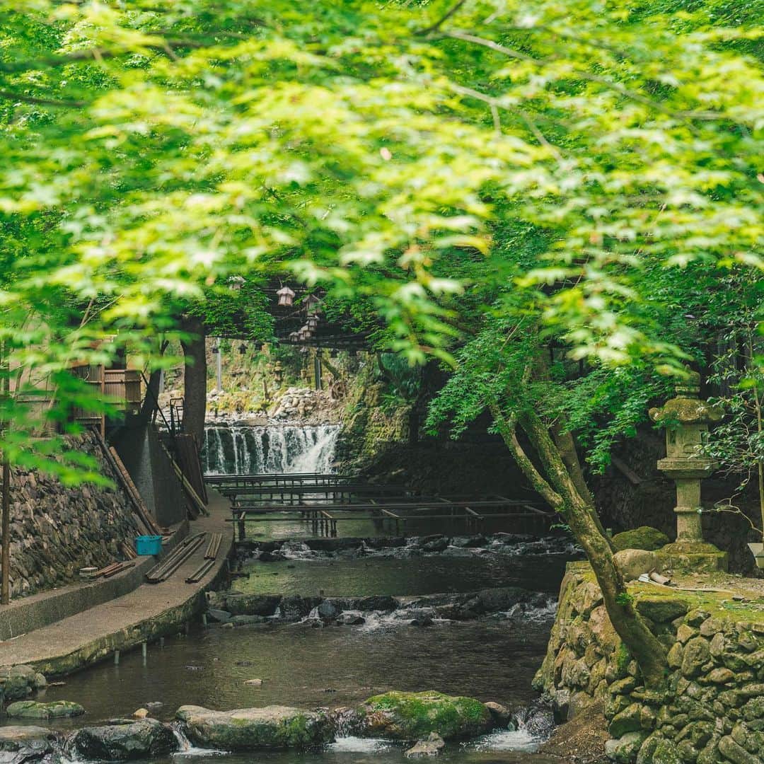山口淳一さんのインスタグラム写真 - (山口淳一Instagram)「Green again. 眼精疲労には緑。 — #japan #kyoto #green #nature #日本 #京都 #緑」5月21日 21時11分 - junichi_yamaguchi