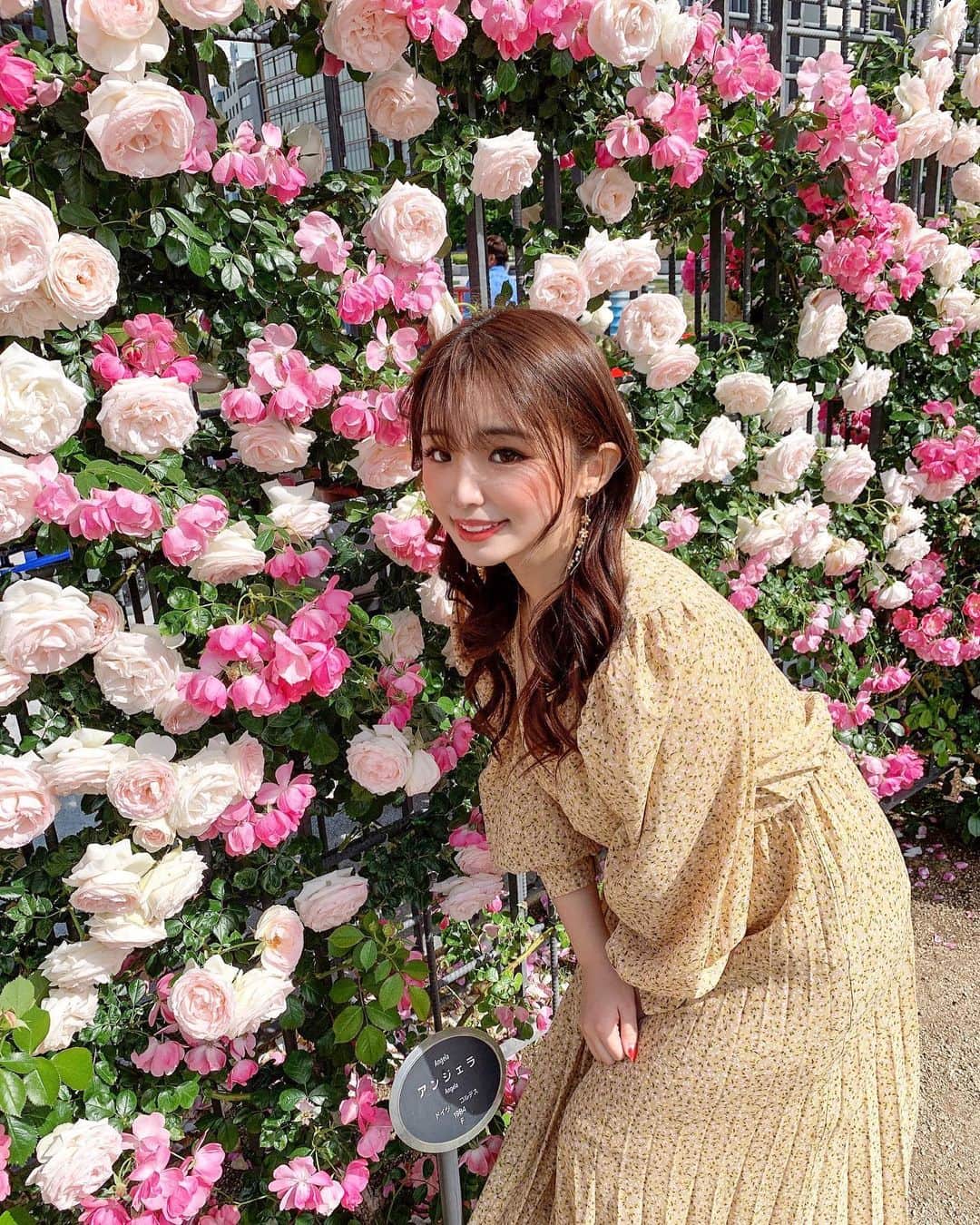 CHERIさんのインスタグラム写真 - (CHERIInstagram)「Remember every flower that ever bloomed had to go through a whole lot of dirt to get there 🌹🌹🌹 撮影の合間に😘ポートレートよりulike❤️爆笑  #rose#redrose#pinkrose」5月21日 21時06分 - hi_cherish.gram