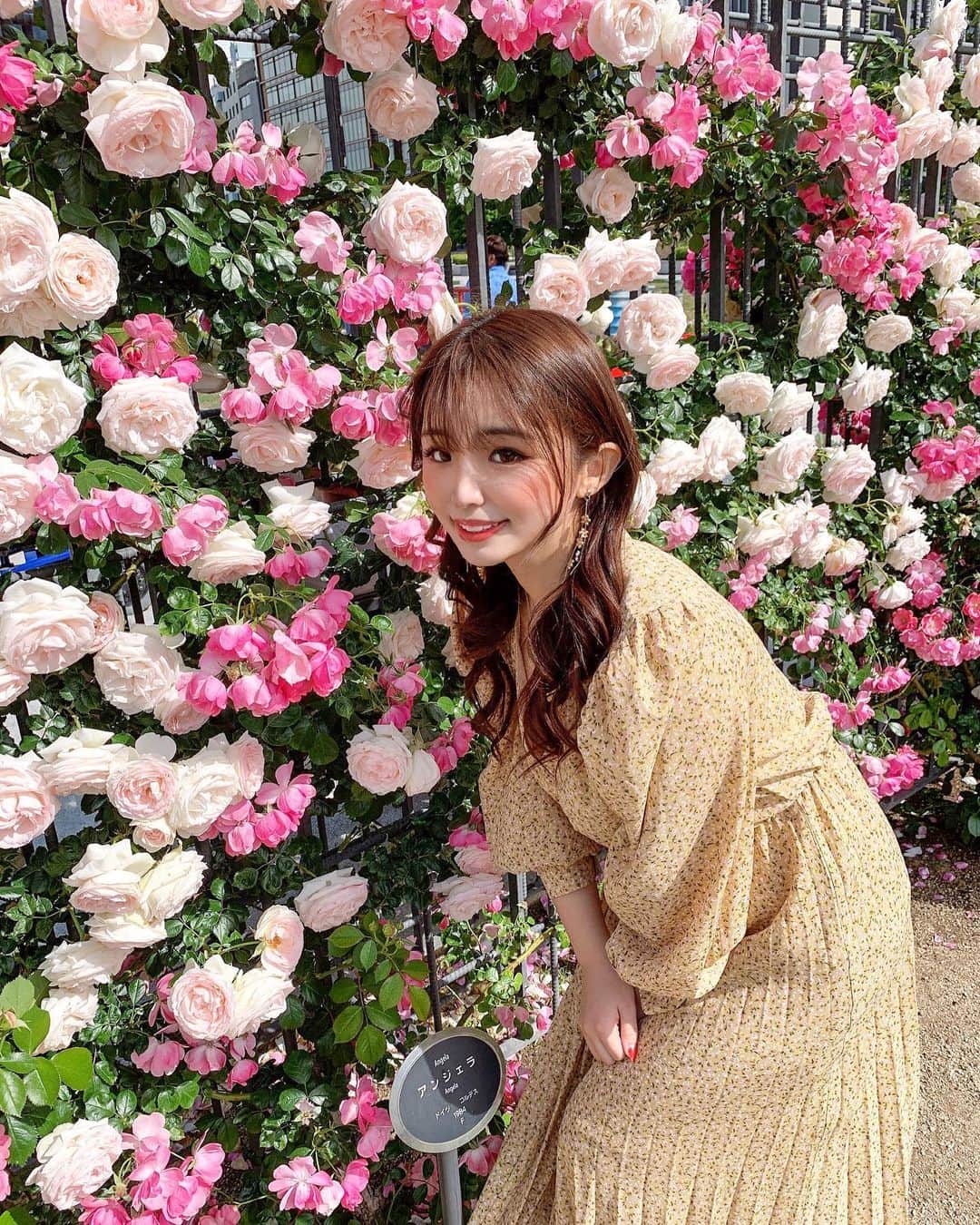 CHERIのインスタグラム