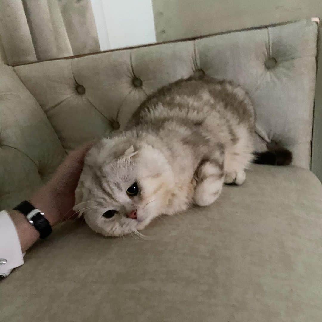 Haruのインスタグラム：「New baby seal in da house #โตมาอ้วนเฉย #harubabyseal」