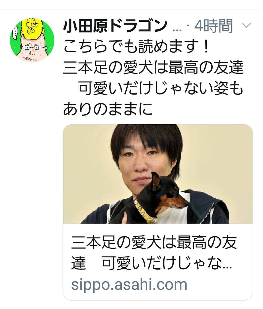 小田原ドラゴンのインスタグラム：「今朝の朝日新聞にちょんぴーと載りました。ネットからも見られます！」