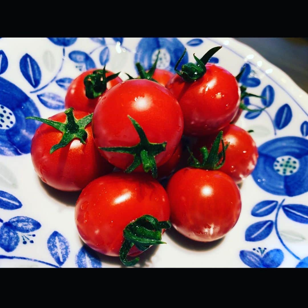 佐藤あり紗さんのインスタグラム写真 - (佐藤あり紗Instagram)「. . . 野菜の中で🍅が1番大好き❤ 特にプチトマトが栄養が高くて美味しくて大好き😘 . . 遠征先のバイキングでも普段もご飯＆おやつ代わりに トマト活🍅しています🏐 . 今回、新型コロナウィルスの影響で行き場を失ってしまった生産者さんを 支援するSPADのPRプロジェクトに参加しています🍅 . 糖度はイチゴ並みの10度以上適度な酸味もあり味に深みがある🍅は 株式会社農の郷のオンラインショップで購入できます! . 株式会社　農の郷（みのりのさと） 〒692-0025 島根県安来市穂日島112 ☎︎（0854）21-9000 @coroco_minori . #SPADコロナ支援PR #トマト #フルーツトマト #あまい #バレーボール　#スポーツ　#佐藤あり紗」5月21日 21時26分 - arisa_chu